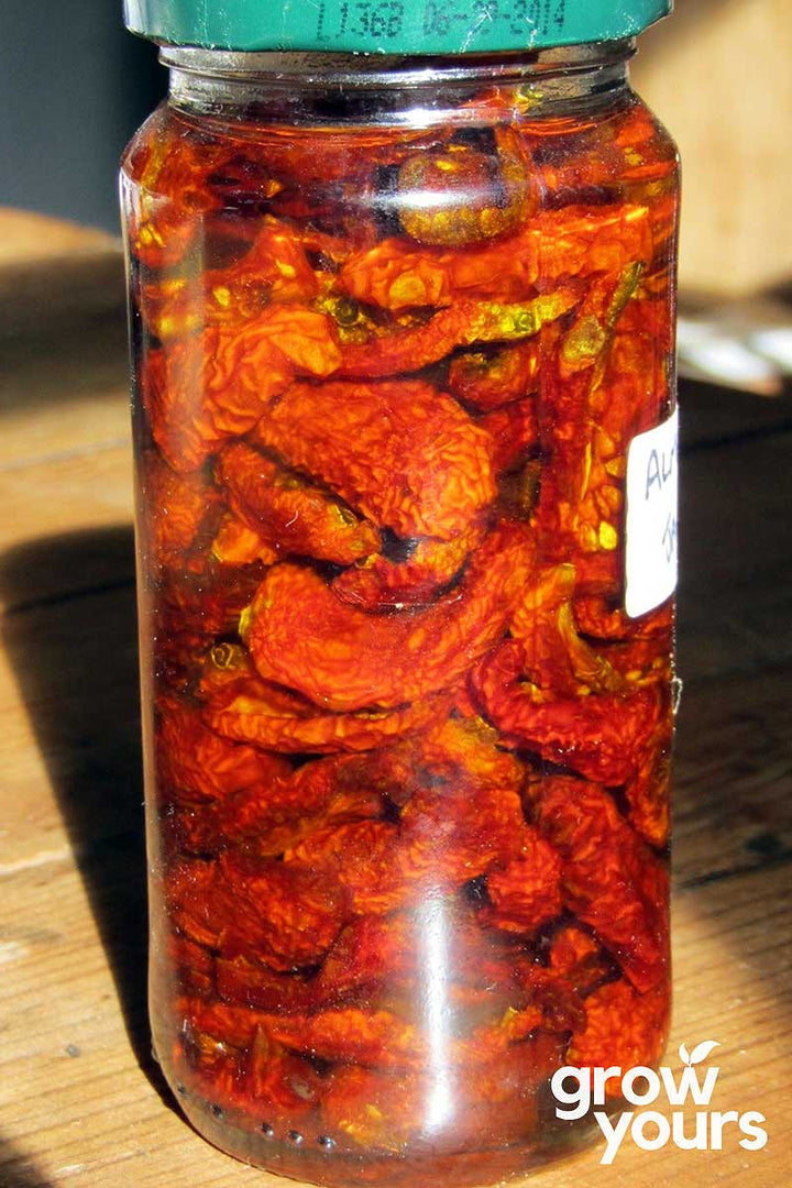 Tomato ‘Alma’