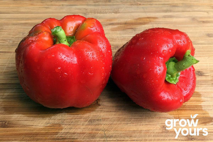 Capsicum California Wonder on chopping board