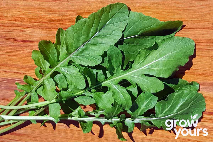 Rocket leaf on chopping board