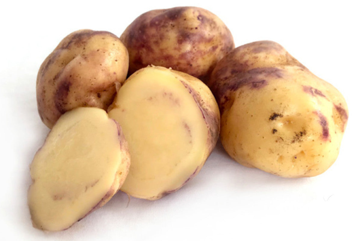 Māori Potato ‘Huakaroro’