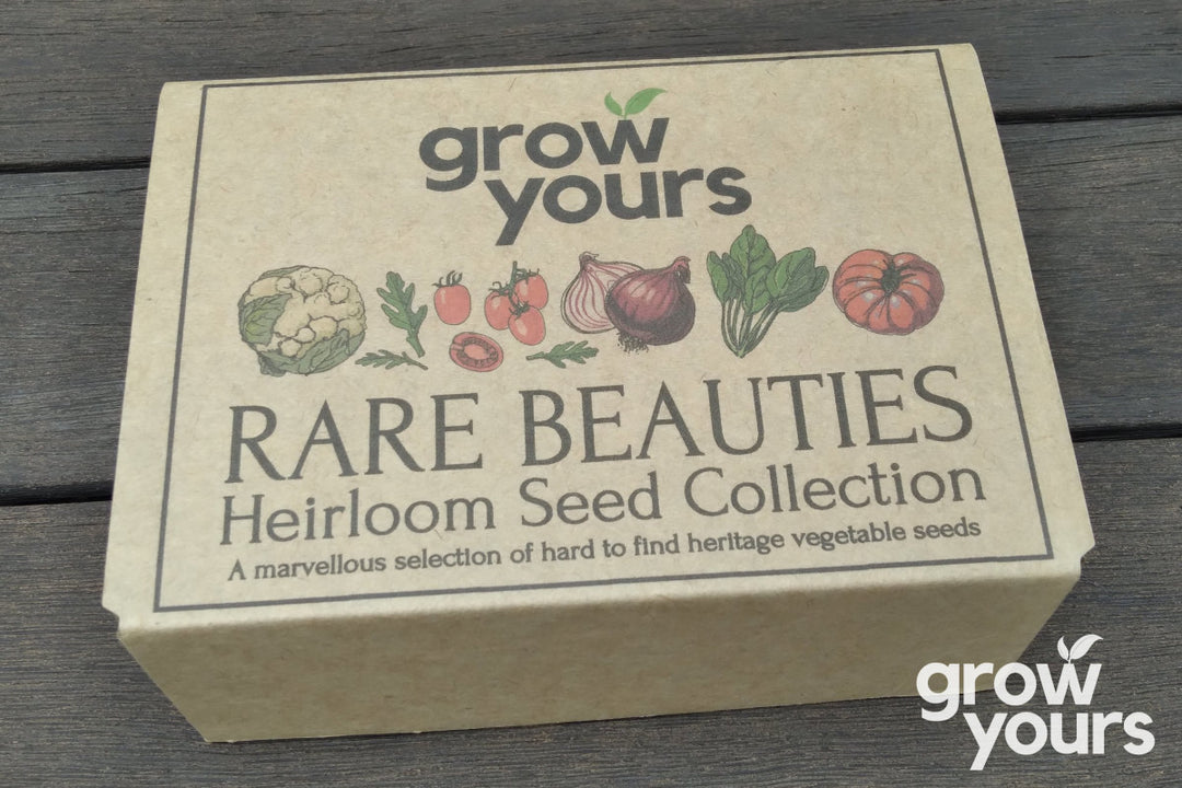 Rare Beauties Heirloom Seed Collection