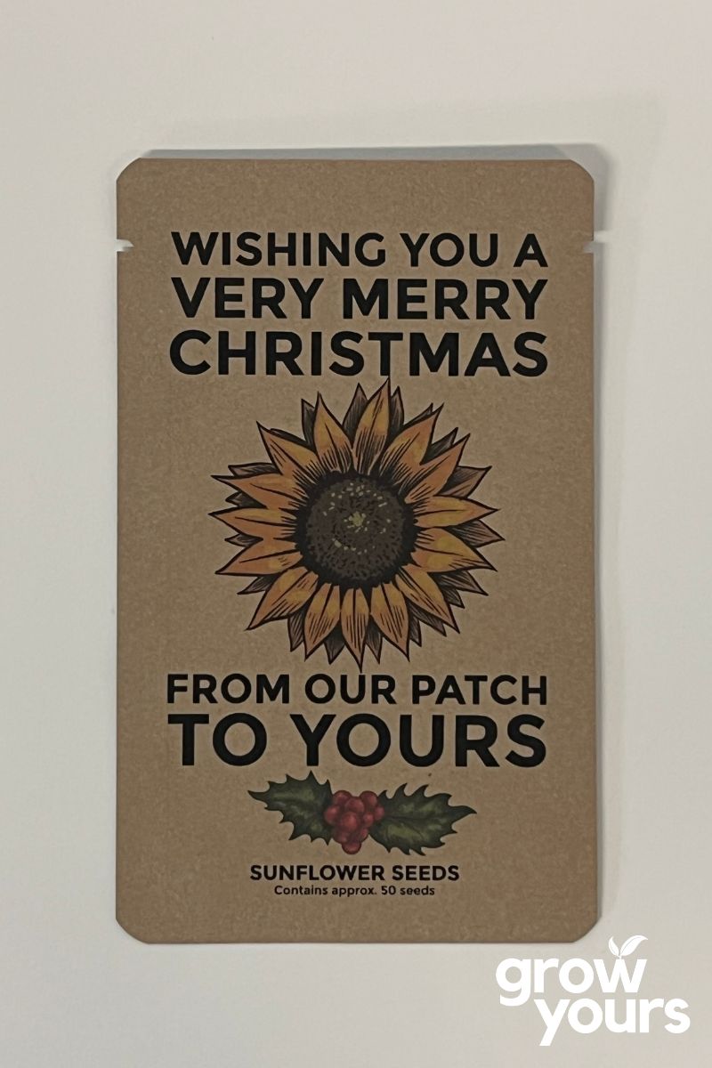 Sunflower - Festive Season Christmas Seed Packet